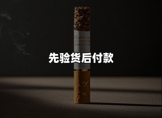 专业优势
